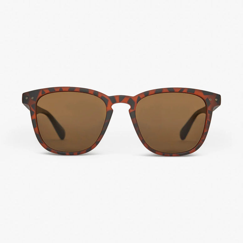 SUNGLASSES SYD MATTE TORTOISESHELL/BROWN - POLARIZED LENS