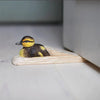 Hand Carved Mallard Duckling Doorstop