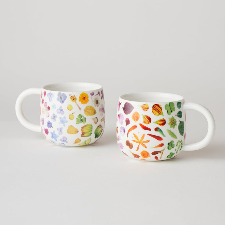 Angus & Celeste Sunny Day Mugs Two Set - Flower Rainbow