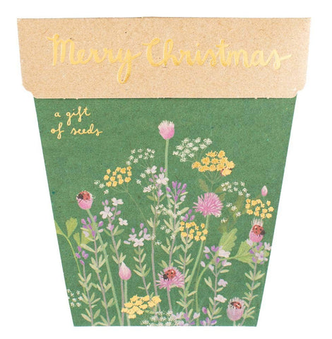 Sow 'n Sow - Christmas Herbs Gift of Seeds (Australia Only)