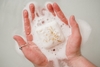 Grapefruit and Sweet Orange Botanical Bath Bomb S/3