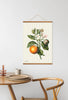 Home Dweller - Orange Tea Towel