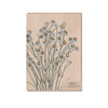 Typoflora - Winged Everlasting Portrait Card
