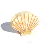 Kingston Jewellery - Creamy Shell Clip