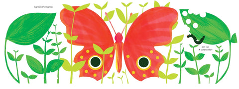 Little Seed