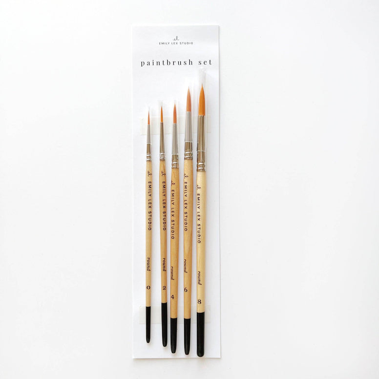 PRE ORDER emily lex studio - Watercolour paintbrush set