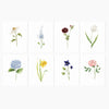 emily lex studio - Assorted garden flowers notecard set