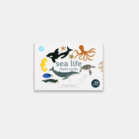 Sea Life Flash Cards