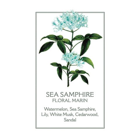 Panier des Sens Sea Fennel/Samphire Liquid Marseille Soap
