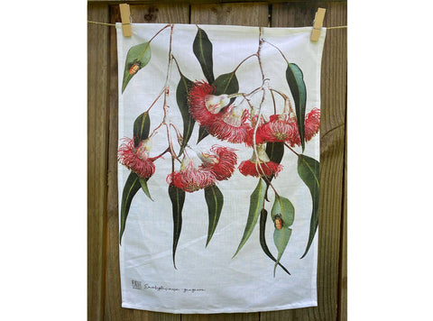 Australian Native Tea Towels - Eucalyptus