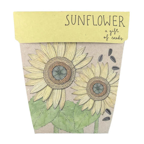 Sow 'n Sow Sunflower Gift of Seeds