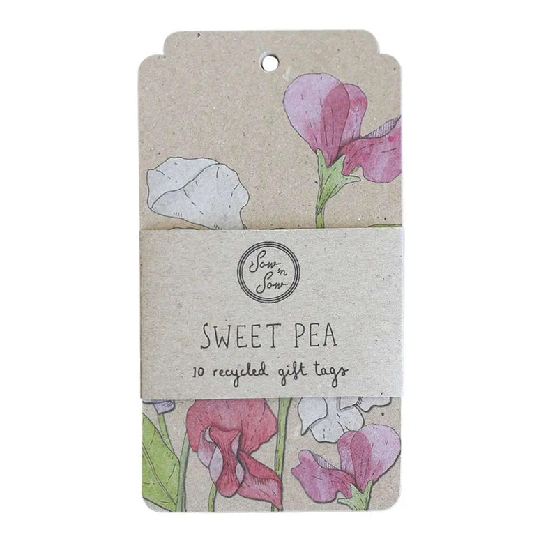 Sow 'n Sow Sweet Pea Gift Tag – 10 Pack