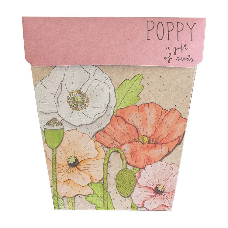 Sow 'n Sow Poppy Gift of Seeds